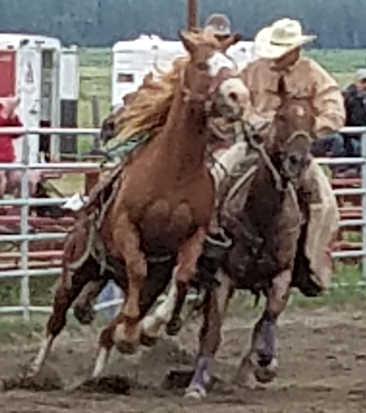 20160630_201314 20160630_201314