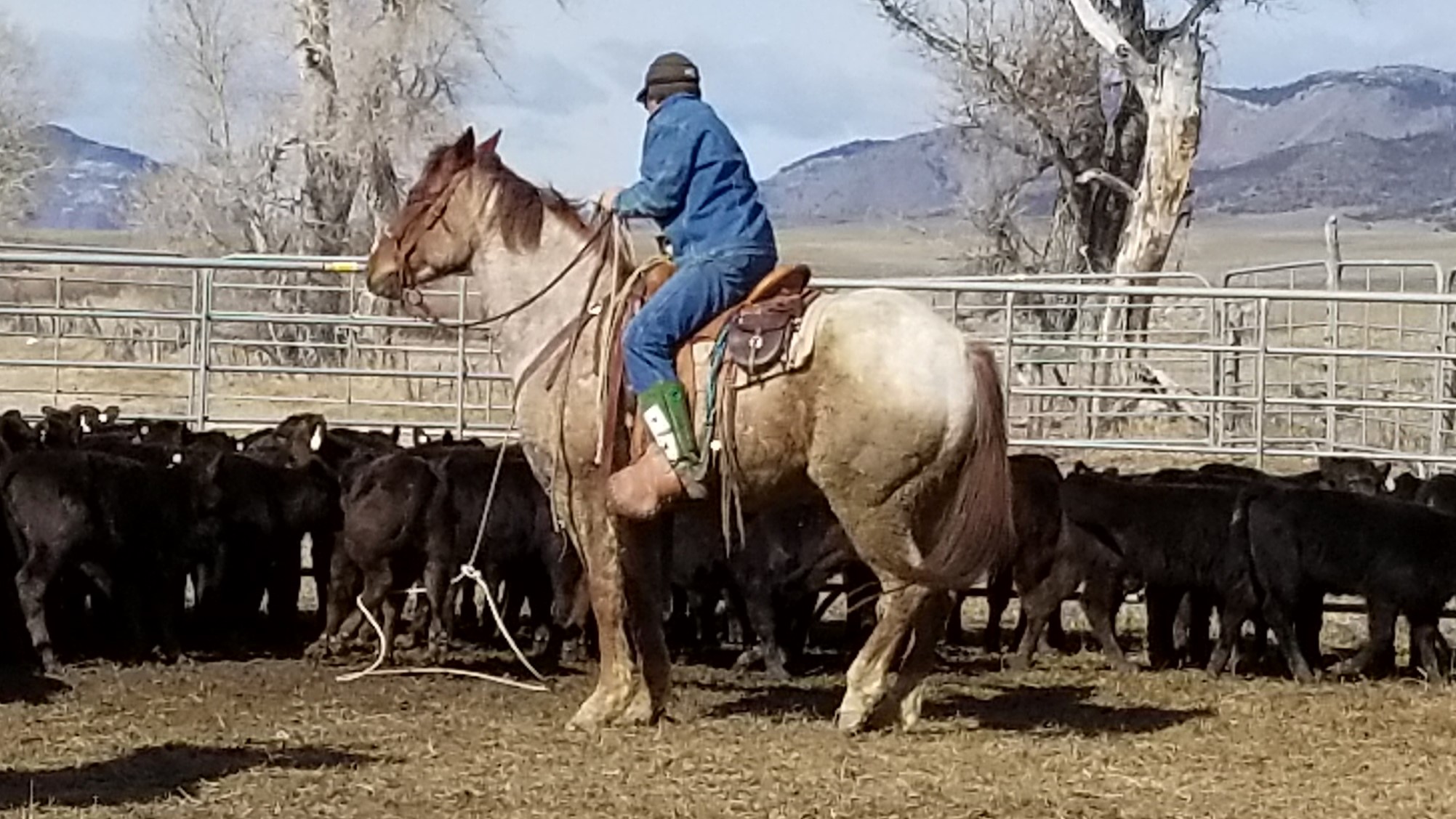20180329_110202 20180329_110202