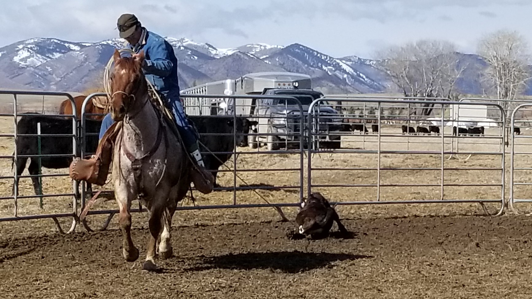 20180329_110609 20180329_110609