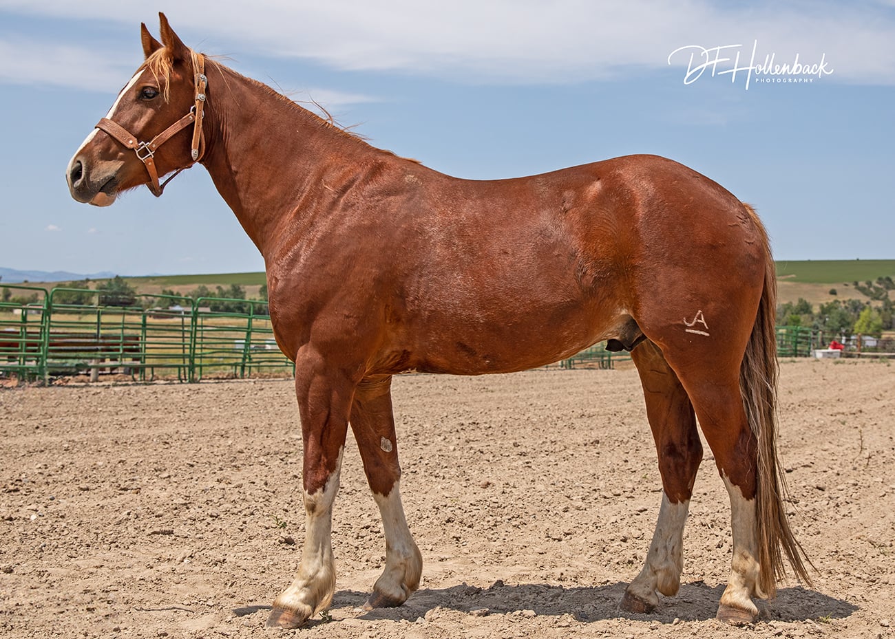 3ea10717-2b9a-4a07-a95f-03756c13c772