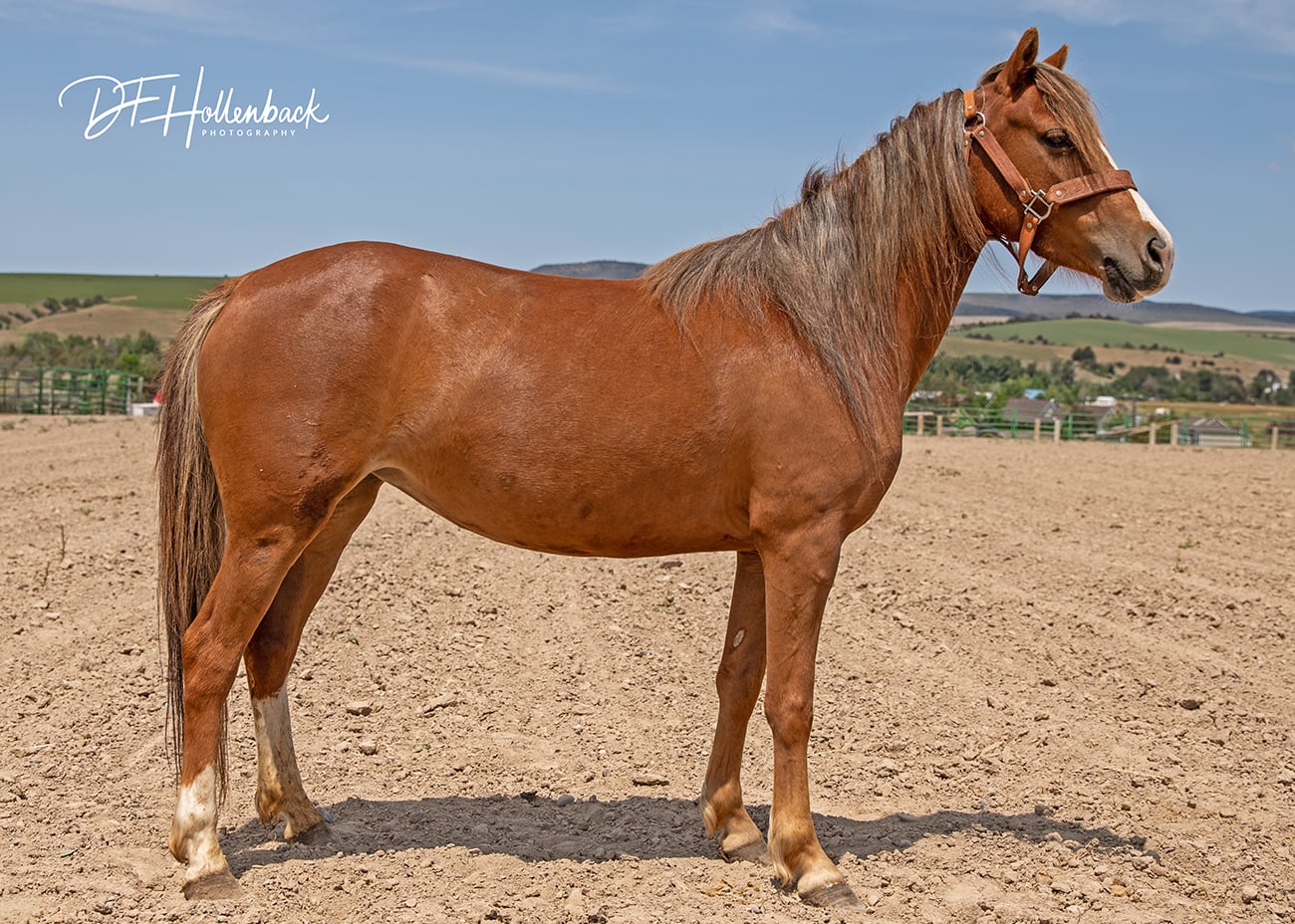 633d5149-9e94-4f44-bf2d-0e72ca2e8bf7