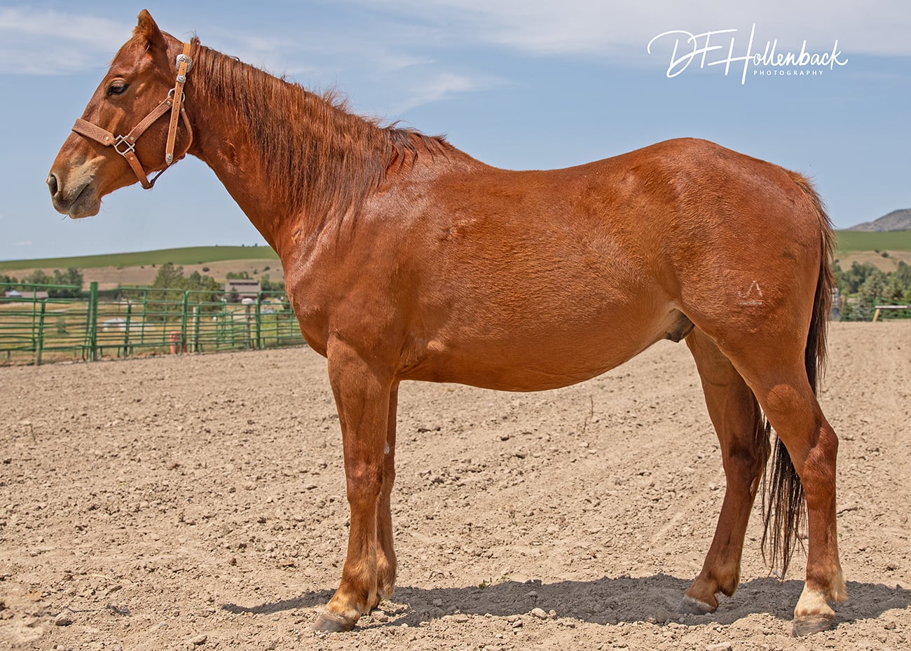 7b961636-c5c5-4126-9c7a-7c541c01f0e4