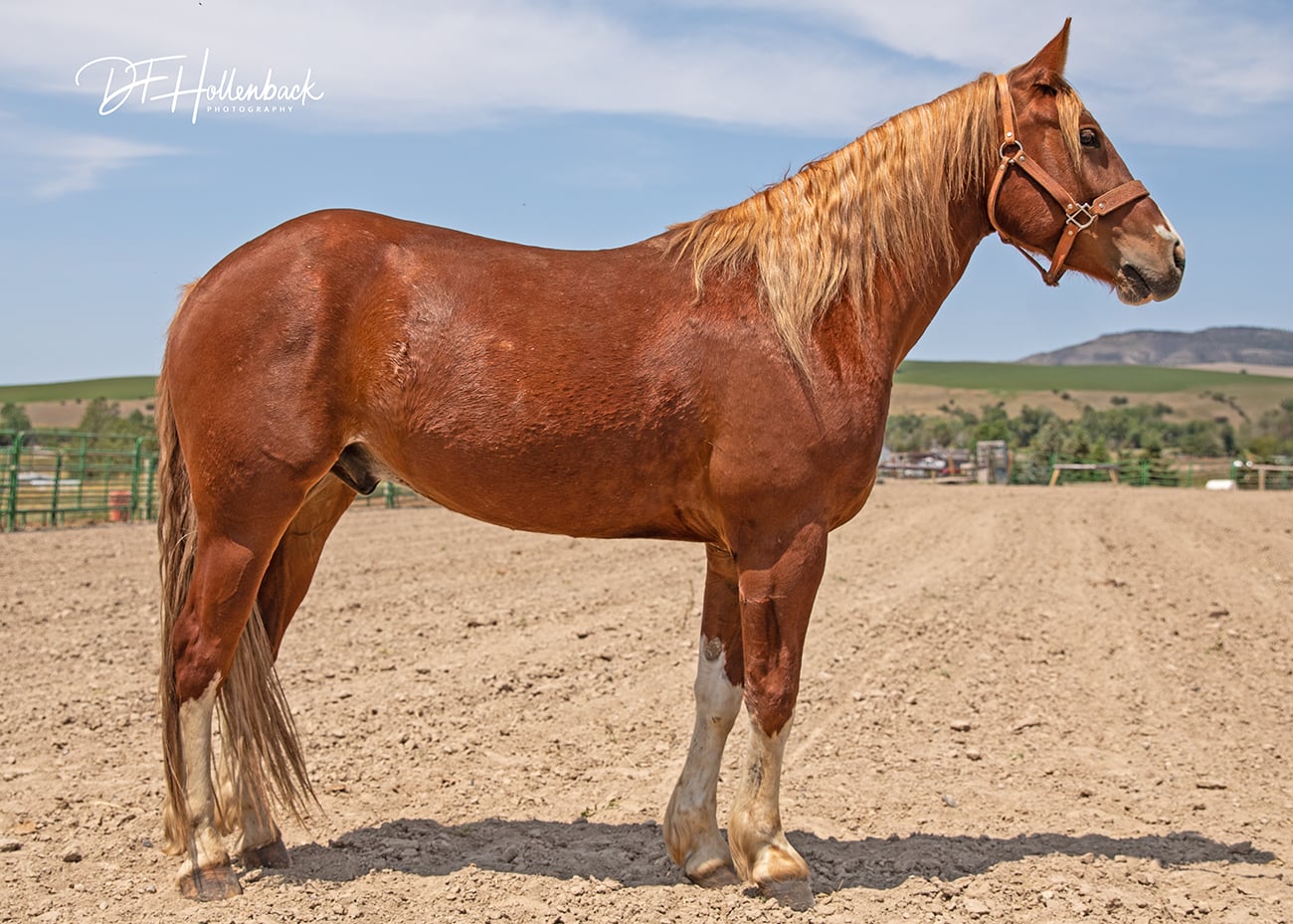 8682d803-d834-4fd2-b71f-ed39000cca21