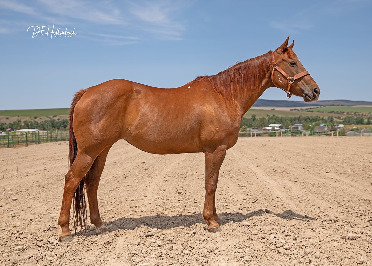 88313b02-019f-415e-8d6d-2cdeec03511d