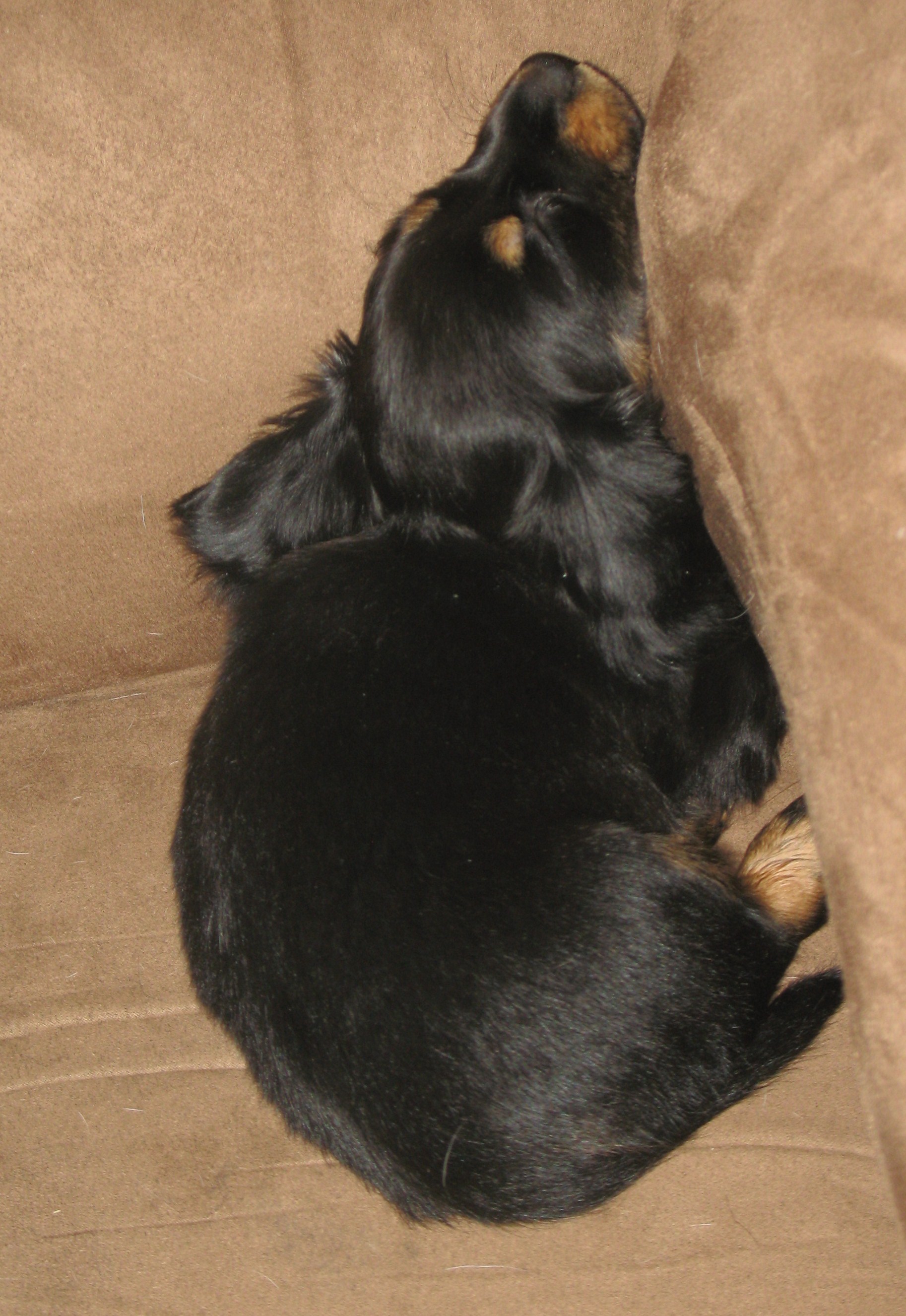 IMG_2383