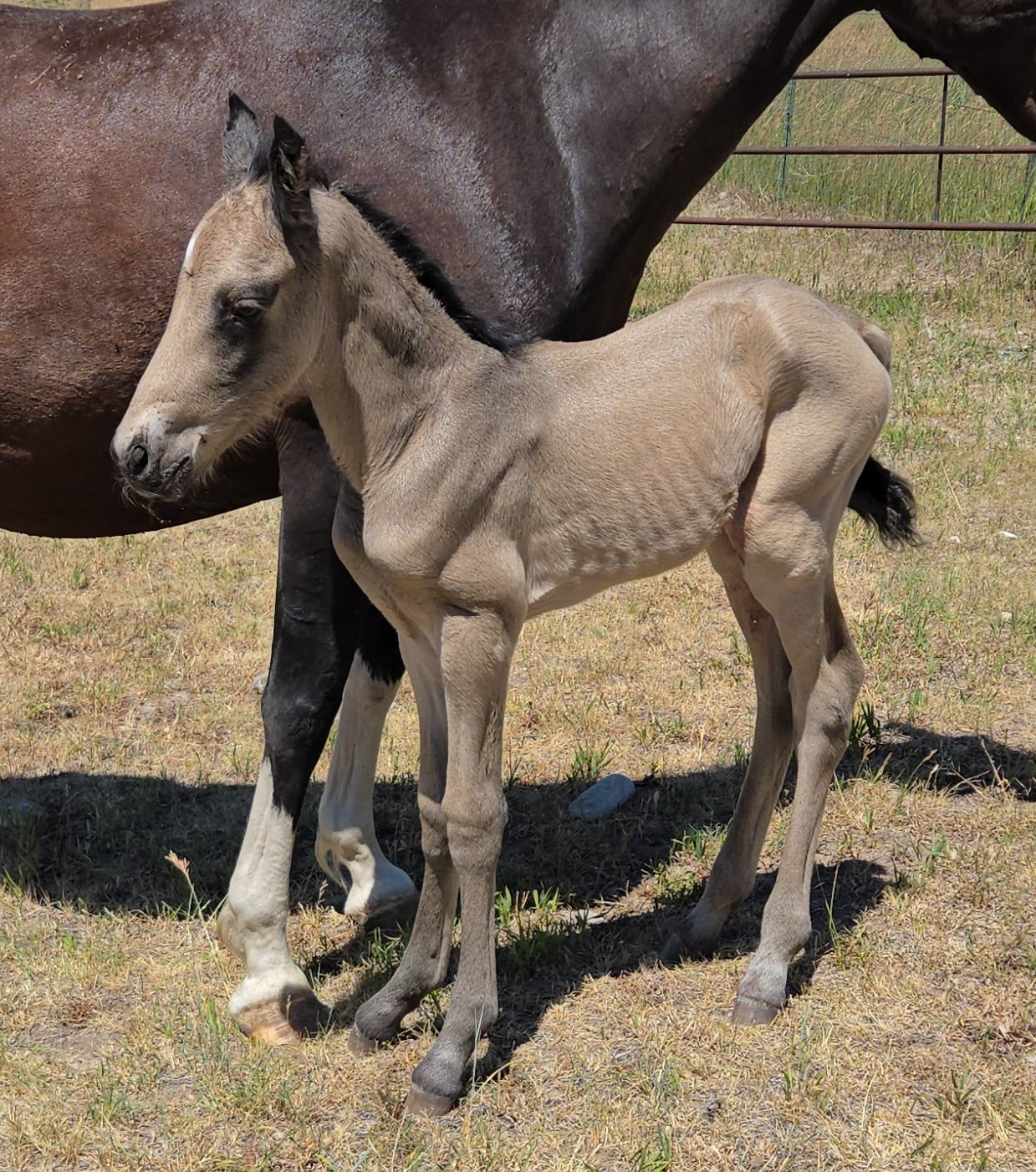 ae9b4b34-f369-4f60-b521-b6ee3435d23e