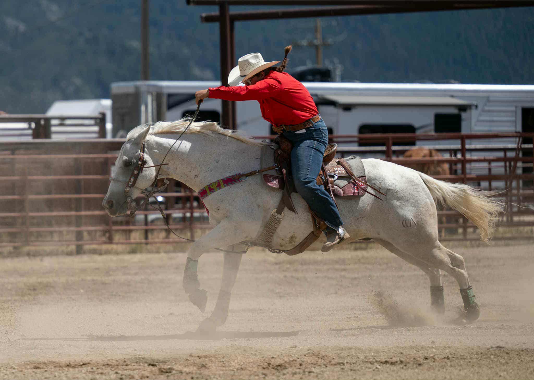 c1a8891d-51cc-4a28-8891-7cf68ce6b49a c1a8891d-51cc-4a28-8891-7cf68ce6b49a