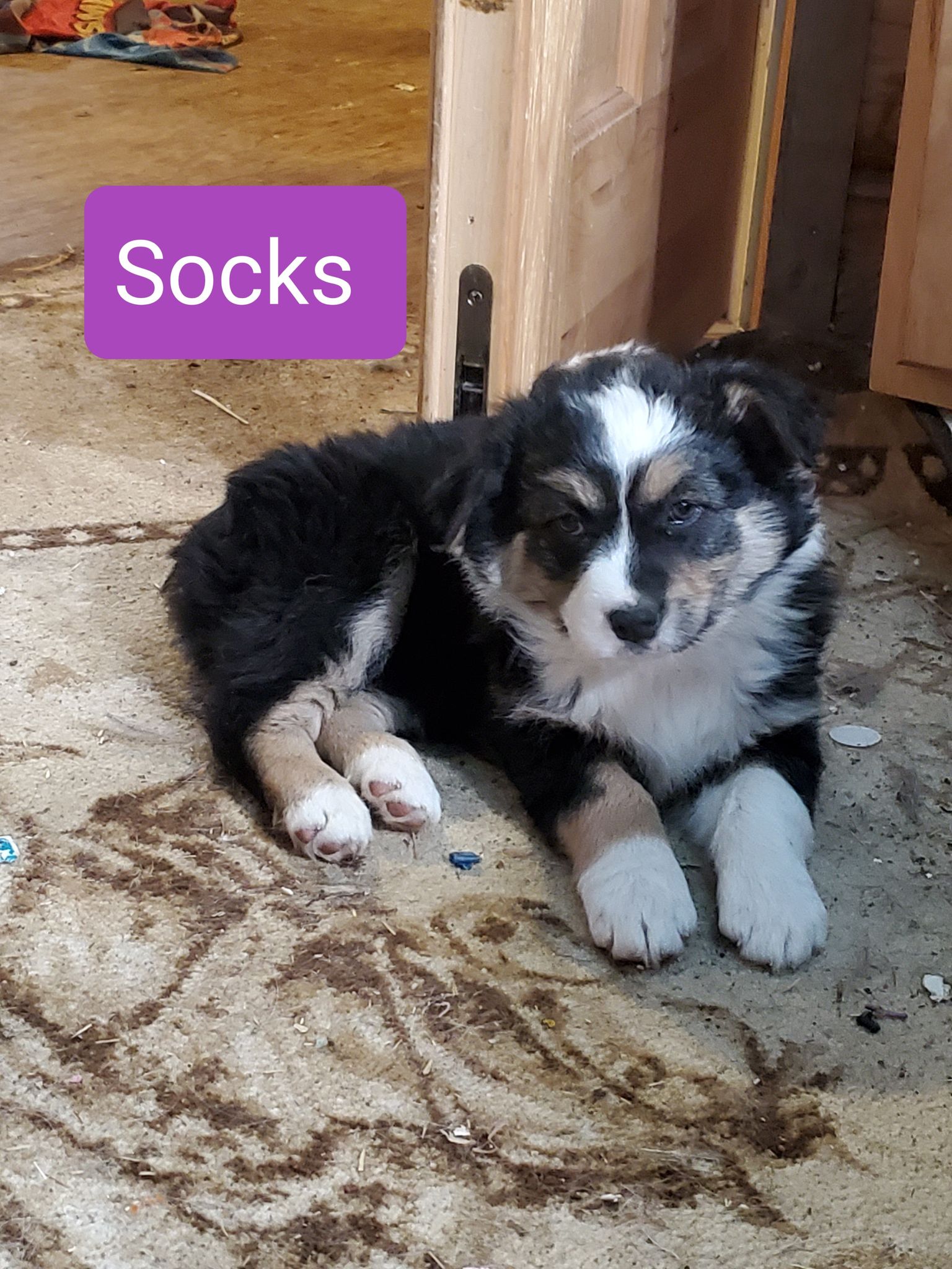 socks2